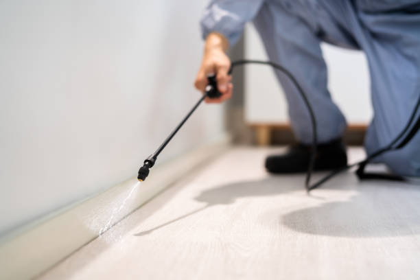 Licensed Pest Control service in Jackson, WI - Show Me Pest Control